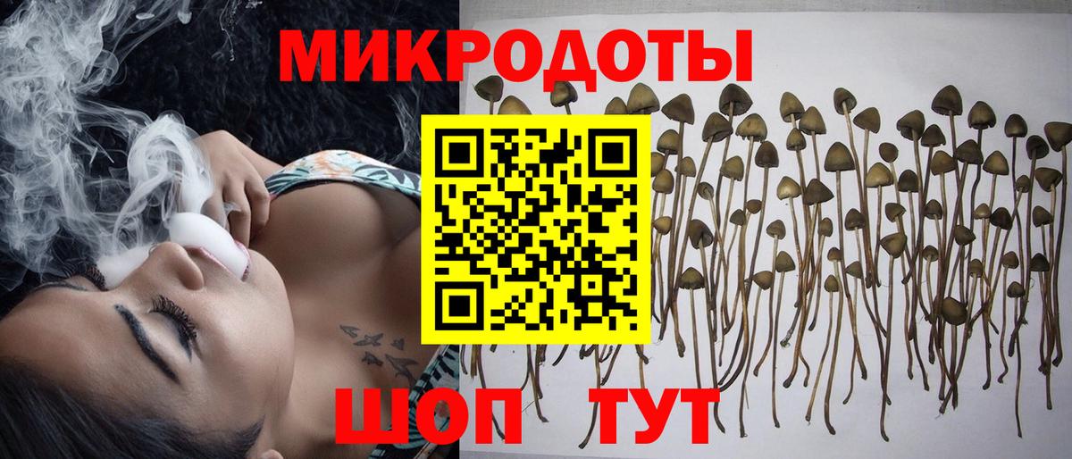 Псилоцибиновые грибы Psilocybe  Вход с VPN  Галлюциногенные грибы Psilocybine cubensis  Дятьково 